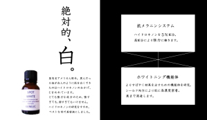 写真 1