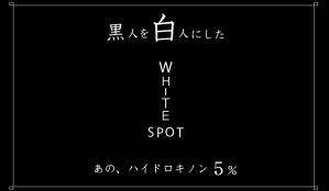 写真 2